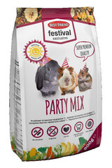 BF корм для кроликов / грызунов FESTIVAL EXCL.PARTY MIX 900 гр. цена и информация | Корм для грызунов | hansapost.ee