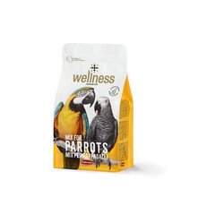 Корм для крупных попугаев PD Wellness, 0,75 кг цена и информация | Padovan Товары для животных | hansapost.ee