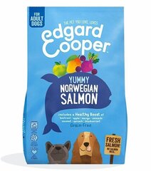 Полноценный корм для собак Edgard and Cooper, Норвежский лосось, 700 гр. цена и информация | Сухой корм для собак | hansapost.ee