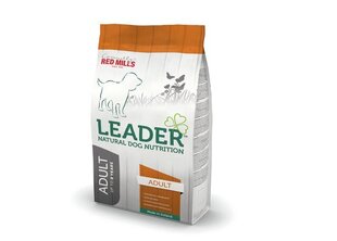 LEADER KOERA TÄISSÖÖT KANA KESK.TÕUG 12KG price and information | Dry dog food and crisps | hansapost.ee