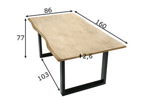 Обеденный стол Tische, 85x160, черный цена и информация | Кухонные и обеденные столы | hansapost.ee