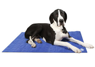 Охлаждающий коврик для собак Scruffs XL, синий цена и информация | Лежаки, домики | hansapost.ee