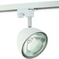 Nowodvorski Lighting laevalgusti Vespa White 8824 hind ja info | Laelambid | hansapost.ee