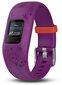 Aktiivsusmonitor lastele Garmin vívofit® jr.2 - Frozen Anna : 010-01909-19 hind ja info | Nutivõrud ja aktiivsusmonitorid | hansapost.ee