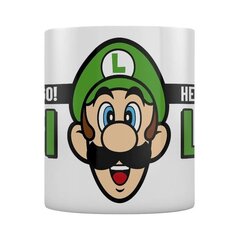 Pyramid International Nintendo Super Mario Here We Go Luigi  цена и информация | Атрибутика для игроков | hansapost.ee