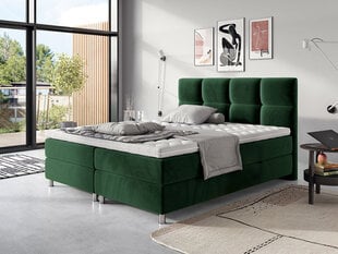 Kontinentaalvoodi Black White Bed Dave, roheline hind ja info | Voodid | hansapost.ee