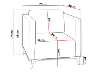 Кресло SAFIR цена и информация | Кресла | hansapost.ee