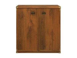 Шкафчик Indiana JKOM2D, коричневый цена и информация | Шкафчики в гостиную | hansapost.ee