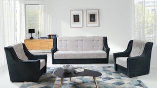 Комплект NIAGARA 3+1+1 цена и информация | Комплекты мягкой мебели | hansapost.ee