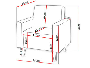 Кресло OVIEDO цена и информация | Кресла | hansapost.ee