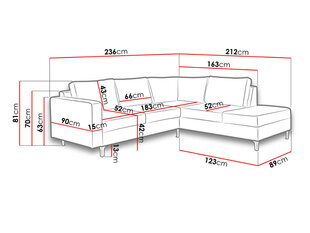 угловой диван ORLANDO WOOD цена и информация | Угловые диваны | hansapost.ee