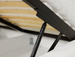 Voodi Niko 160x200 cm ülestõstetava voodipõhjaga цена и информация | Voodid | hansapost.ee