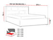 Voodi Deco 120x200 cm ülestõstetava voodipõhjaga цена и информация | Voodid | hansapost.ee