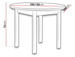 Обеденный стол Poli цена и информация | Кухонные и обеденные столы | hansapost.ee