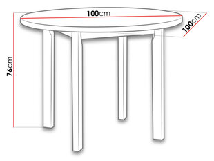Обеденный стол Poli цена и информация | Кухонные и обеденные столы | hansapost.ee
