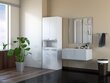 Kõrge vannitoakapp koos pesukorviga DK 2K, valge hind ja info | Vannitoakapid | hansapost.ee