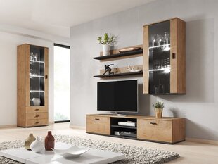 Sektsioon Soho VI + valge valgustus price and information | Sectional cabinets | hansapost.ee