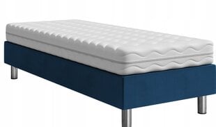 Kontinentaalvoodi Lux 120x200cm + madrats price and information | Beds | hansapost.ee