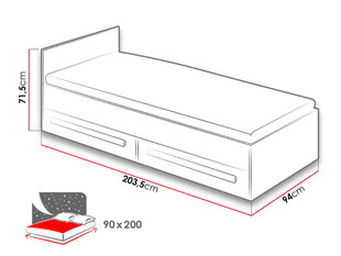 Кровать Guliver, 90x200 см  цена и информация | Кровати | hansapost.ee