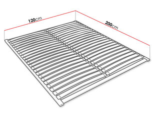 Voodipõhi EASYPACK 120x200cm hind ja info | Voodid | hansapost.ee