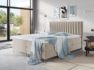 Континентальная кровать ELEGANCE 140x200 цена и информация | Кровати | hansapost.ee