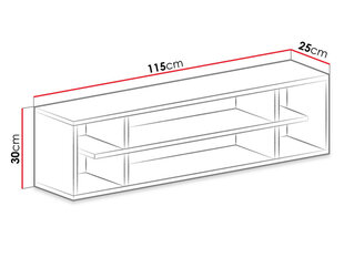 Настенная полка Mobi System 15 цена и информация | Полки | hansapost.ee