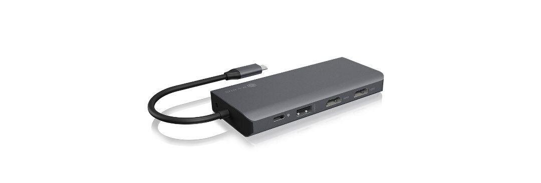 Raidsonic USB Type-C Notebook DockingSta цена и информация | Akupangad | hansapost.ee