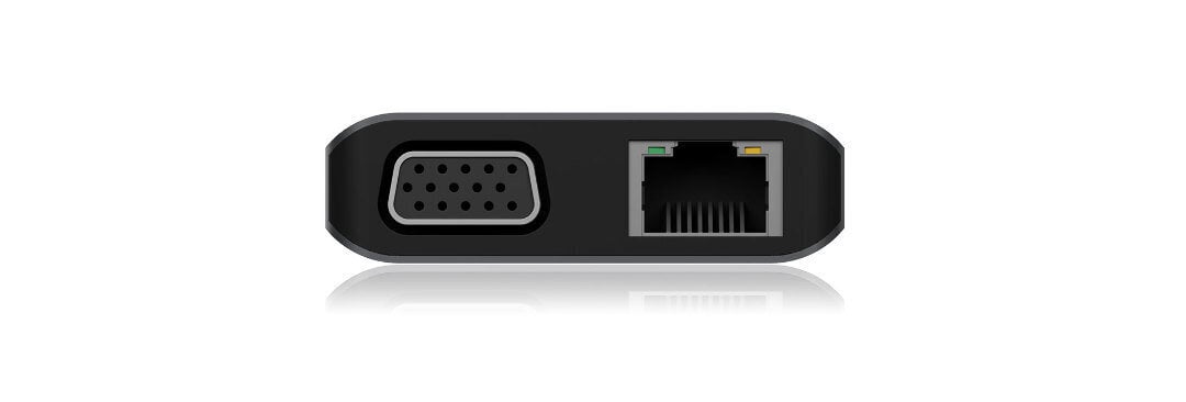 Raidsonic USB Type-C Notebook DockingSta цена и информация | Akupangad | hansapost.ee