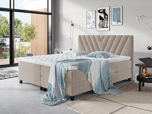 Kontinentaalvoodi Romantic 160x200cm price and information | Beds | hansapost.ee