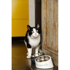 Меламиновая миска для кошек Beeztees DBL, белая цена и информация | Миски, ящики для корма | hansapost.ee