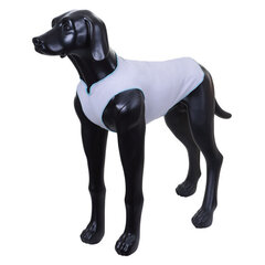 Rukka Sunny солнцезащитная футболка для собак SUNNY, разные размеры цена и информация | Одежда для собак | hansapost.ee