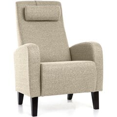 Tugitool Otto price and information | Armchairs | hansapost.ee