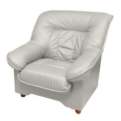 Кресло Spencer N, белое цена и информация | Кресла | hansapost.ee