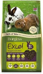 BURGESS EXCEL корм для кроликов MINT 10 кг. цена и информация | Корм для грызунов | hansapost.ee