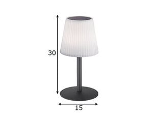 FH Lighting настольный LED светильник Turin цена и информация | Настольная лампа | hansapost.ee