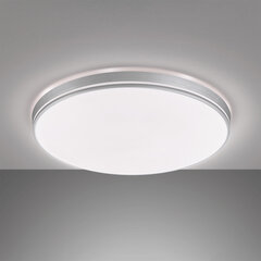 Laelamp LED Sori цена и информация | Потолочные светильники | hansapost.ee