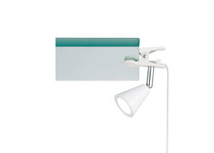 Лампа для чтения FH Lighting Zirbel цена и информация | Настольные лампы | hansapost.ee