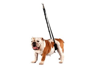 SHOW TECH GROOMINGULAUA NAILONRIHM BELLY STRAP VÄIKE price and information | Leashes for dogs | hansapost.ee