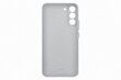 Leather Cover for Samsung Galaxy S22 Plus, Light Gray цена и информация | Telefonide kaitsekaaned ja -ümbrised | hansapost.ee