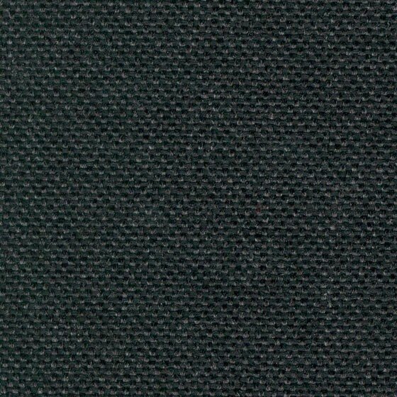 Diivan Rosa, 2-kohaline, kaetud kangaga, musta värvi jalad, Diivan Rosa, 2-kohaline, kaetud kangaga - must Inari 100, musta värvi jalad цена и информация | Diivanvoodid ja diivanid | hansapost.ee