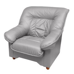 Кресло Spencer K, серое цена и информация | Кресла для отдыха | hansapost.ee