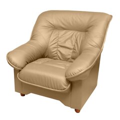 Кресло Spencer N, песочное цена и информация | Кресла для отдыха | hansapost.ee