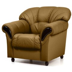 Кресло, коричневое цена и информация | Кресла для отдыха | hansapost.ee