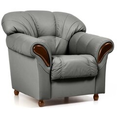 Кресло Rosa 1S, серое цена и информация | Кресла для отдыха | hansapost.ee