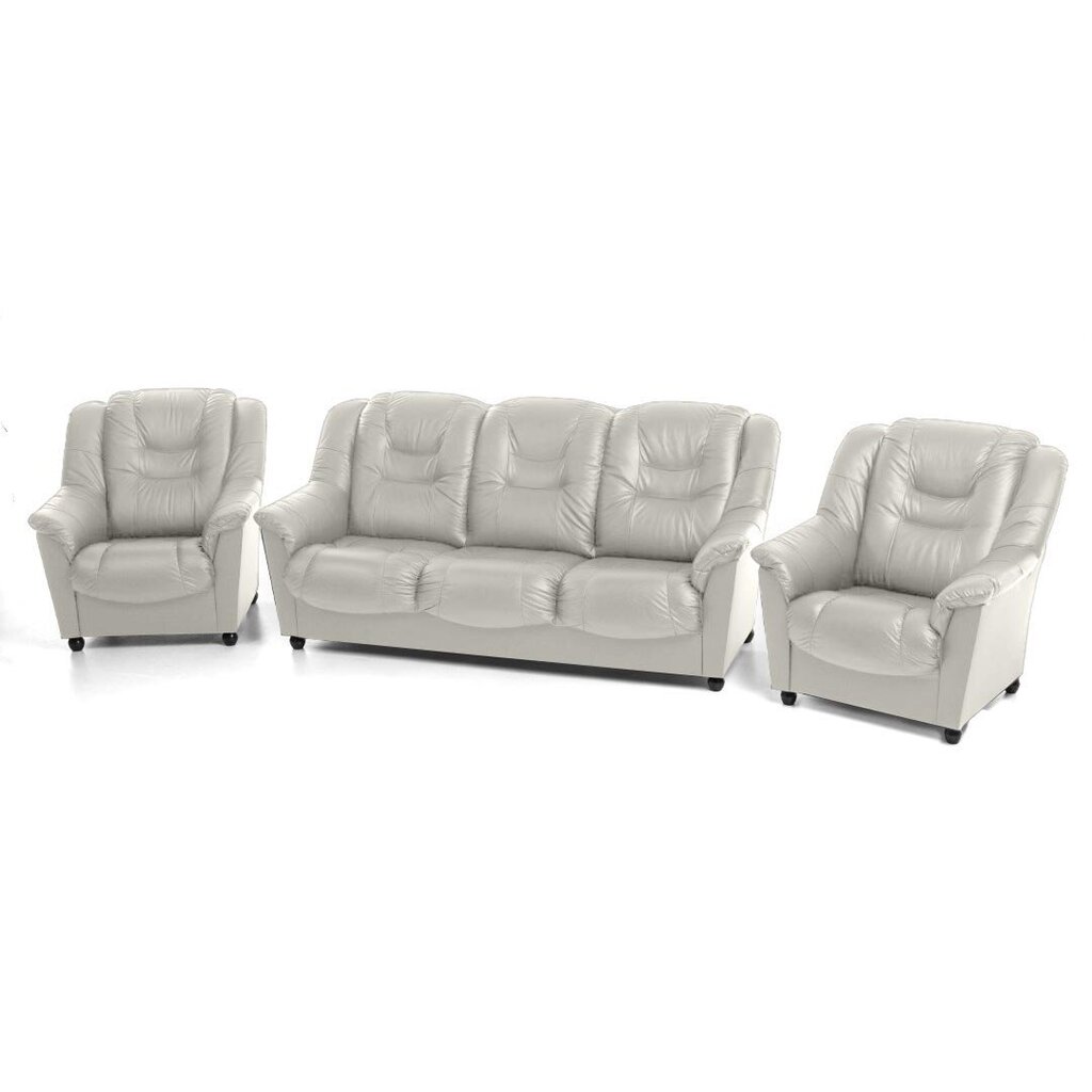 Pehme mööbli komplekt Mann, 3+1+1, kaetud nahaga, - valge 5007, musta värvi jalad hind ja info | Pehme mööbli komplektid | hansapost.ee