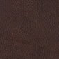 Nurgadiivan Spencer 3n3, kaetud nahaga, jalad musta värvi, Nurgadiivan Spencer 3n3, kaetud nahaga - pruun 8040, jalad musta värvi hind ja info | Nurgadiivanid ja nurgadiivanvoodid | hansapost.ee