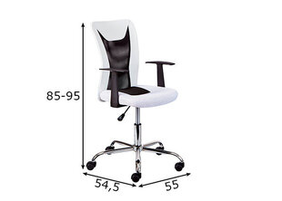 Офисное кресло Interlink, белое/черное цена и информация | Офисные кресла | hansapost.ee