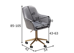 Офисный стул Stuhl, серый цена и информация | Офисные кресла | hansapost.ee