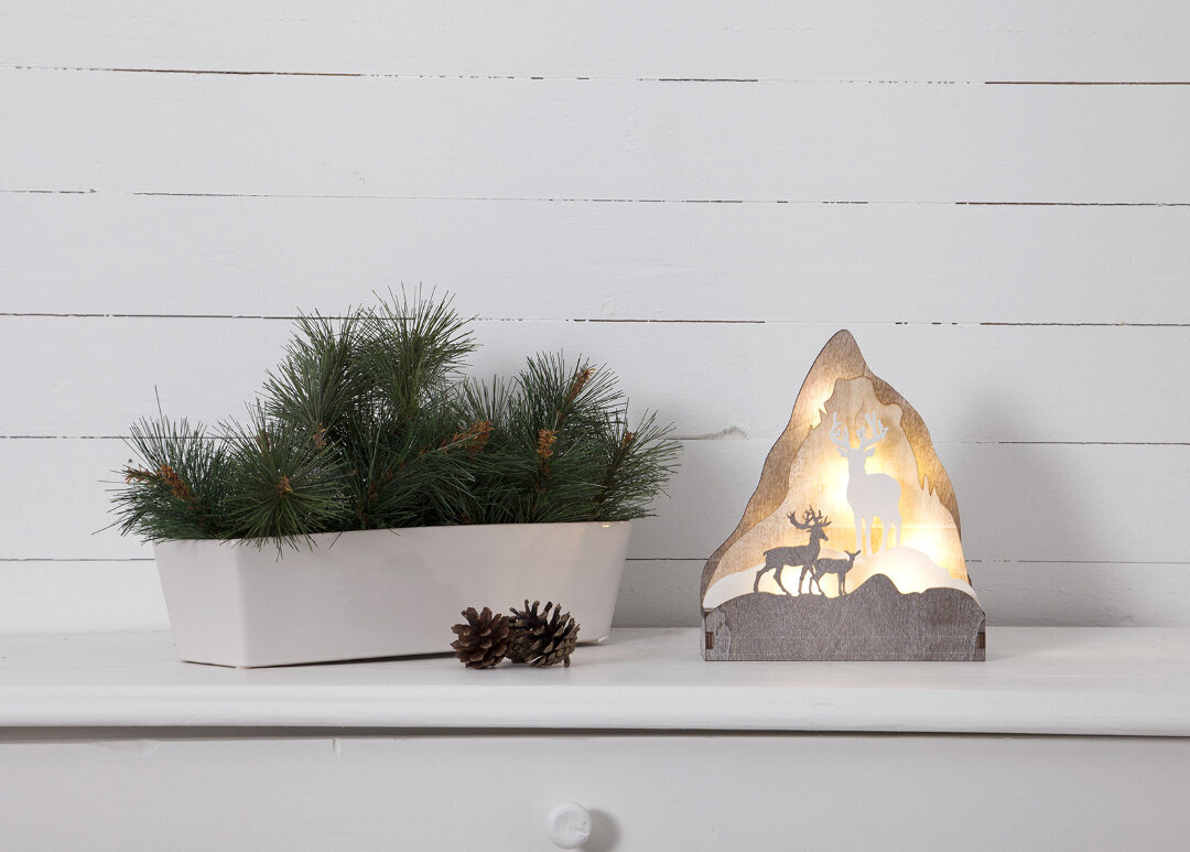 LED tuledega dekoratsioon Fauna, pruun hind ja info | Jõulukaunistused | hansapost.ee