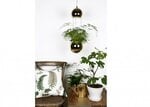 Потолочный светильник Globen Lighting Mini Planter